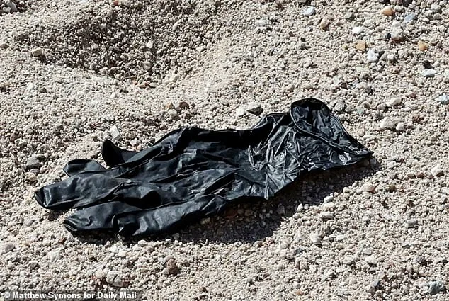 DNA Evidence from Glove Enters CODIS in Missing Tucson Senior's Investigation