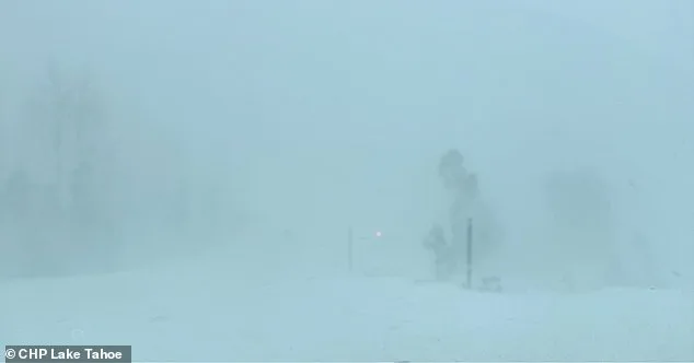Large Avalanche Near Lake Tahoe Leaves 10 Skiers Missing as Rescue Efforts Intensify