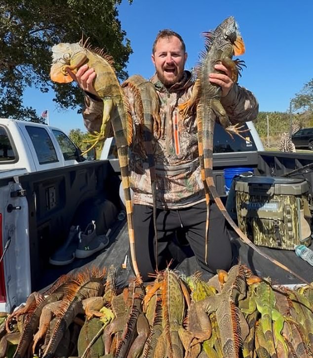 Florida Pizza Shop Sparks Controversy With Iguana Meat 'Everglades' Pie