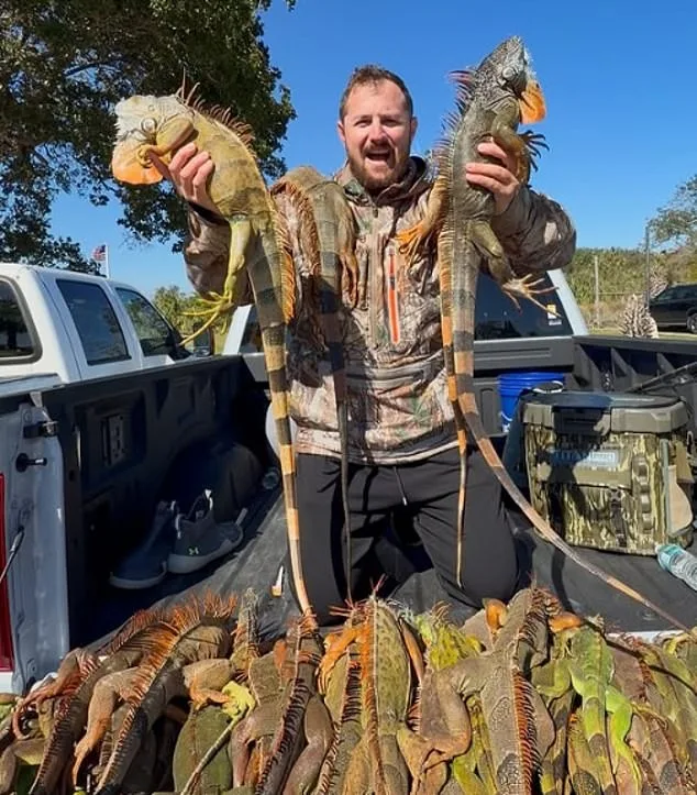 Florida Pizza Shop Sparks Controversy With Iguana Meat 'Everglades' Pie