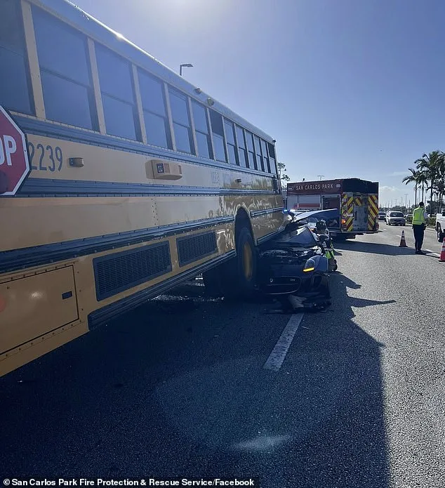 Miraculous Escape as Jaguar Collides with School Bus in Florida