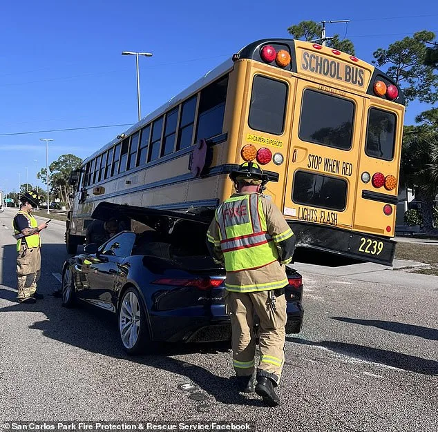Miraculous Escape as Jaguar Collides with School Bus in Florida