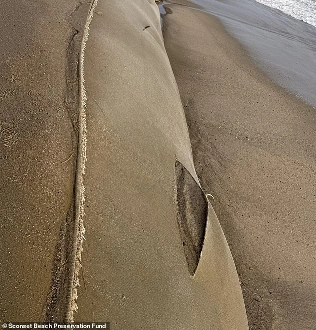 Nantucket Combats Erosion Crisis with $10K Reward After Sabotage of Coastal Defenses