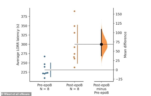 Quantum Processes in the Brain May Unlock Secrets of Consciousness, Says Wellesley Study