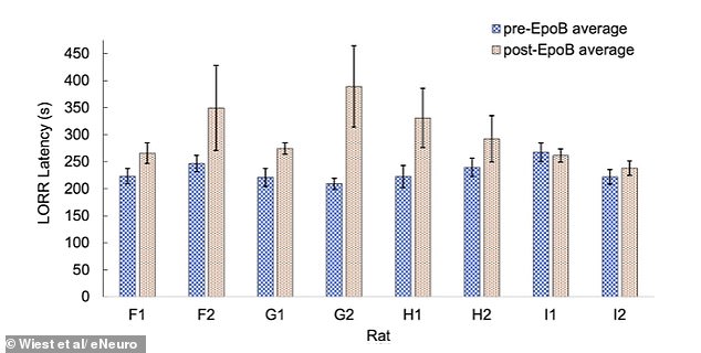 Quantum Processes in the Brain May Unlock Secrets of Consciousness, Says Wellesley Study