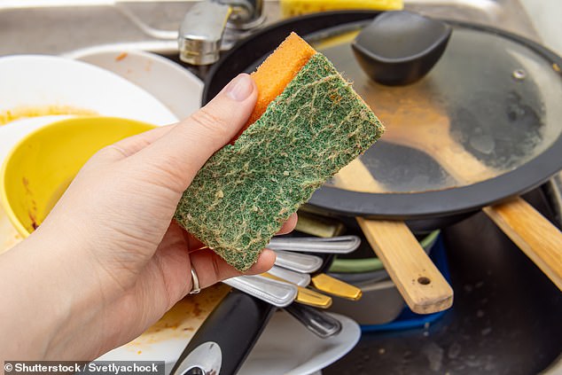 Study Urges Daily Replacement of Kitchen Sponges to Combat Germ Spread
