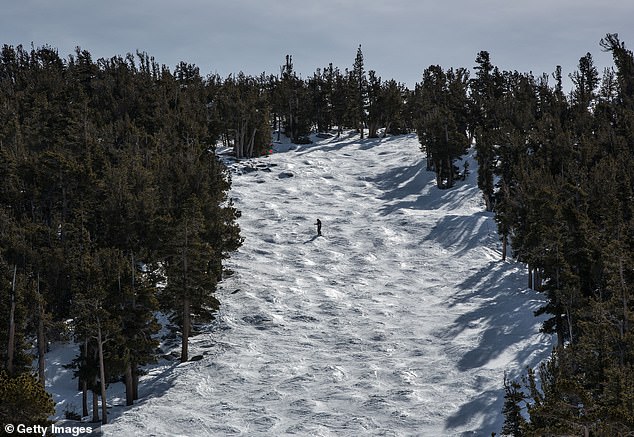 Two Skiers Killed in Lake Tahoe Area as Avalanche Tragedy Continues