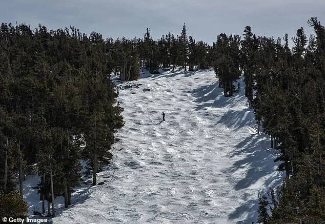 Two Skiers Killed in Lake Tahoe Area as Avalanche Tragedy Continues