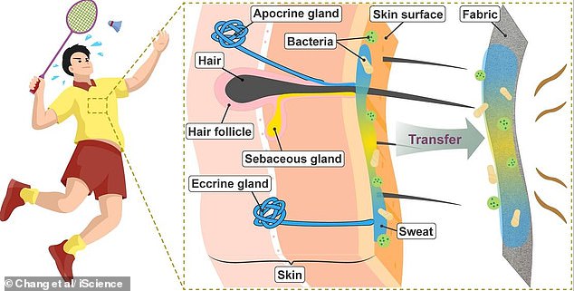 Why You Shouldn't Wash Gym Clothes Immediately—And What to Do Instead