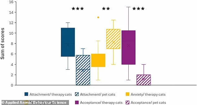 Cats More Emotionally Independent Than Dogs, Study Suggests