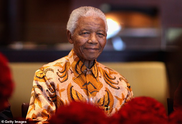 Nelson Mandela's Grandsons Face Legal and Moral Crisis Over Houghton Estate Allegations