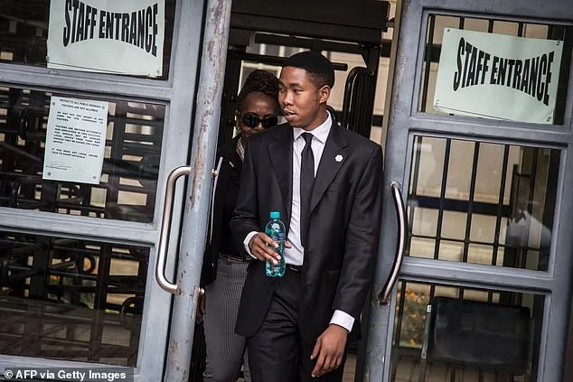 Nelson Mandela's Grandsons Face Legal and Moral Crisis Over Houghton Estate Allegations