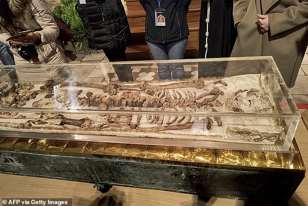 St. Francis of Assisi's Bones Reveal 800-Year Saga in Historic Display