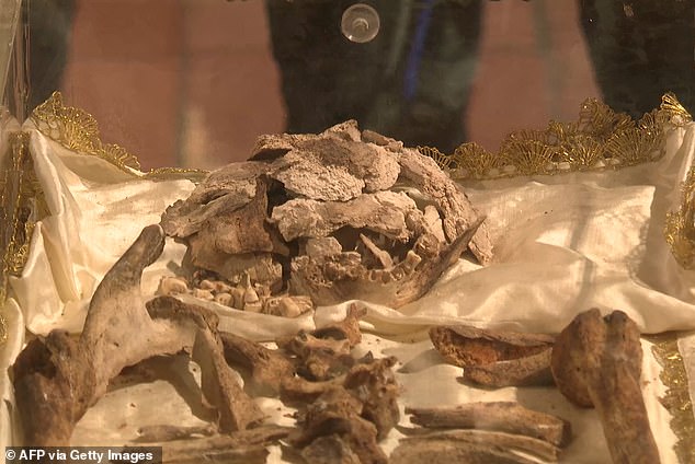 St. Francis of Assisi's Bones Reveal 800-Year Saga in Historic Display