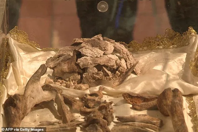 St. Francis of Assisi's Bones Reveal 800-Year Saga in Historic Display