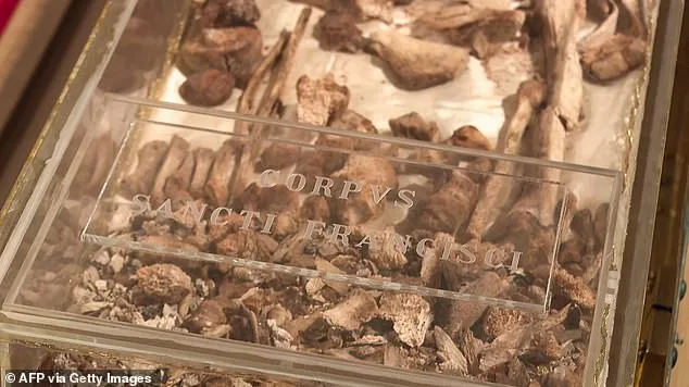St. Francis of Assisi's Bones Reveal 800-Year Saga in Historic Display