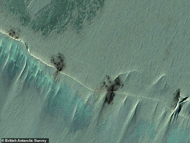 Emperor Penguins Face Extinction as Shrinking Sea Ice Overwhelms Moulting Colonies