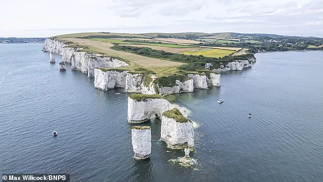 Father and Child Narrowly Avoid Disaster After Ignoring Safety Warnings at Old Harry Rocks