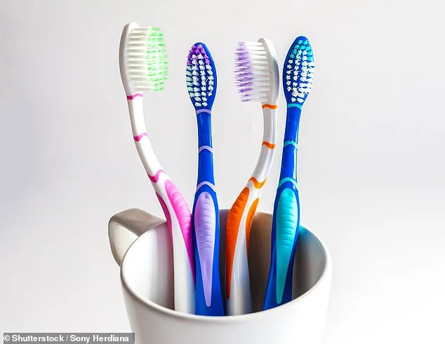 Finally, a Definitive Answer to the Toothbrush Replacement Debate: What Dr. Primrose Freestone Reveals About Your Health