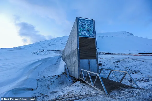 Svalbard Global Seed Vault Expands with 7,800 New Seed Varieties to Bolster Global Food Security