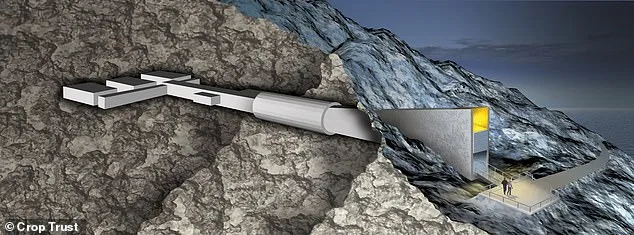 Svalbard Global Seed Vault Expands with 7,800 New Seed Varieties to Bolster Global Food Security