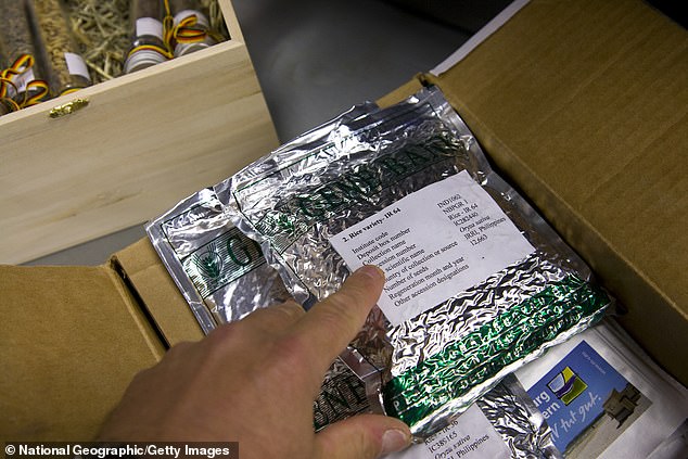 Svalbard Global Seed Vault Expands with 7,800 New Seed Varieties to Bolster Global Food Security