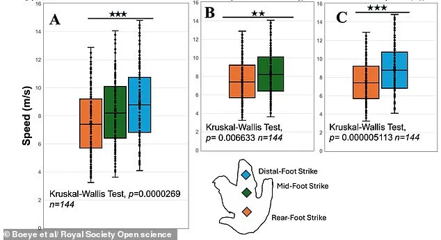 T. rex May Have Run on Tip-Toes, Study Challenges Long-Held Assumptions About Its Locomotion
