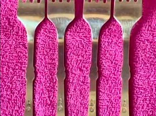 Viral Optical Illusion Leaves Social Media Users Baffled: Can You Solve the Mystery?