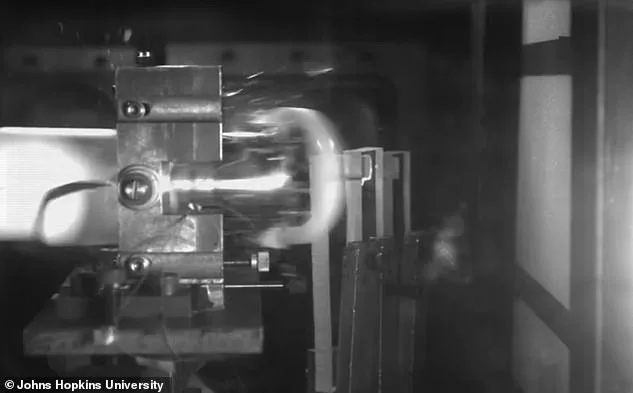 Asteroids as Cosmic Ferries: Could Microscopic Life Have Hitched a Ride Across the Solar System?