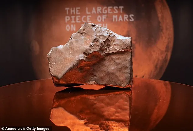 Asteroids as Cosmic Ferries: Could Microscopic Life Have Hitched a Ride Across the Solar System?