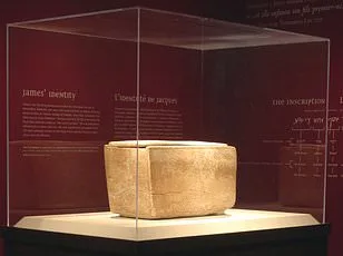 Controversial Theory Links Noah's Ark Survivors to Human Blood Types, Suggesting Divine Design