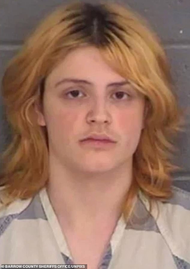 Colin Gray Indicted in Apalachee High School Shooting: Parent's Role in Tragedy Questions Accountability