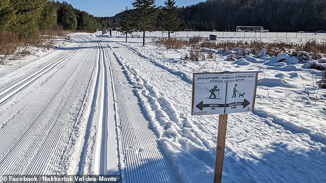 Four-Year-Old Girl Dies in Tragic Sledding Accident in Ontario