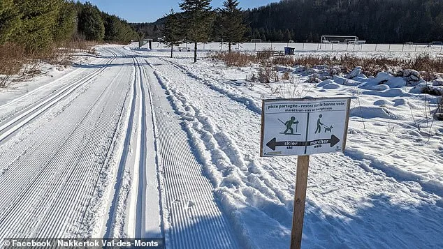 Four-Year-Old Girl Dies in Tragic Sledding Accident in Ontario