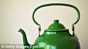 Gardeners Urged to Let Caterpillars Eat Plants in Moth Conservation Effort