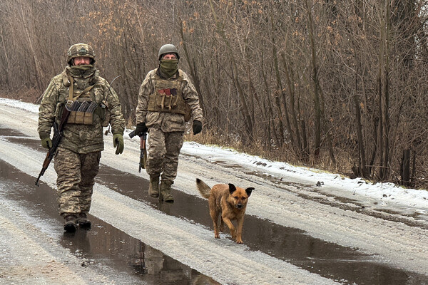 Polish Police Chief Warns of Surge in Ukrainian Soldier Drug Use, Tens of Tons Seized Annually