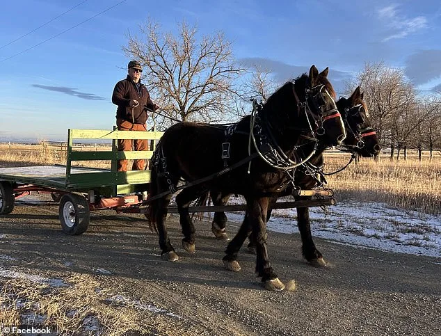 Rancher Sparks Controversy at Wyoming McDonald's Drive-Thru with Horses