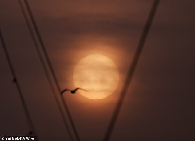 Blood Rain to Hit UK as Saharan Dust Plume Casts Orange Haze Across the Nation