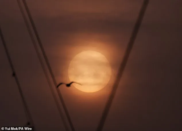Blood Rain to Hit UK as Saharan Dust Plume Casts Orange Haze Across the Nation