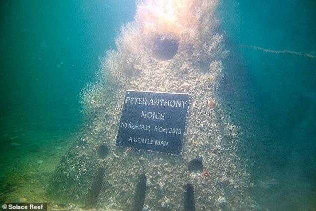 Eco-Friendly Burial Options Gain Momentum in the UK: Rethinking Final Resting Places and Our Relationship with the Planet