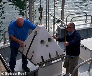 Eco-Friendly Burial Options Gain Momentum in the UK: Rethinking Final Resting Places and Our Relationship with the Planet