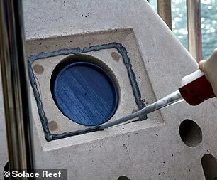 Eco-Friendly Burial Options Gain Momentum in the UK: Rethinking Final Resting Places and Our Relationship with the Planet