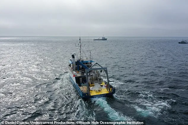 Geoengineering Experiment in Gulf of Maine Sparks Controversy Over Ocean Alkalinity Enhancement