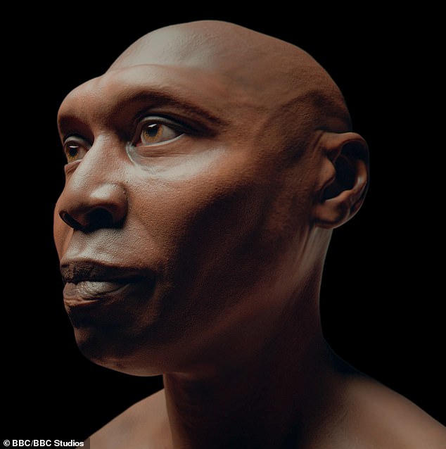 Unlocking the Voices of Our Ancient Ancestors: Advanced Techniques Reveal Lost Languages of Neanderthals and Early Humans