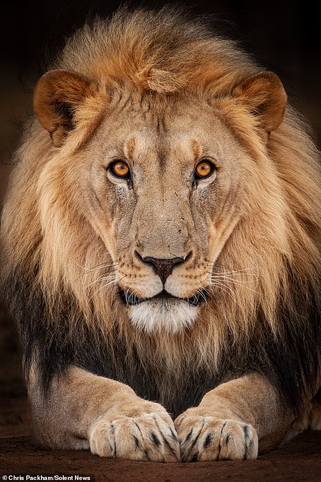 Chris Packham's 'More Beautiful Than You' Exhibition to Reveal Private Nature Photography Collection for First Time