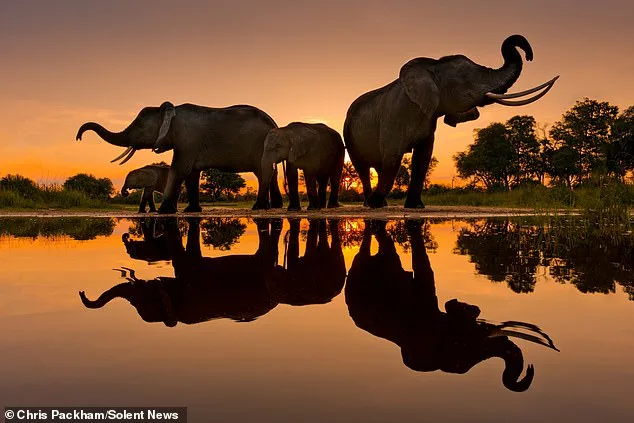 Chris Packham's 'More Beautiful Than You' Exhibition to Reveal Private Nature Photography Collection for First Time