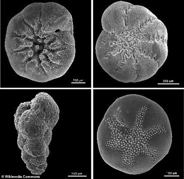Climate Change Driving Unprecedented Increase in Earth's Day Length