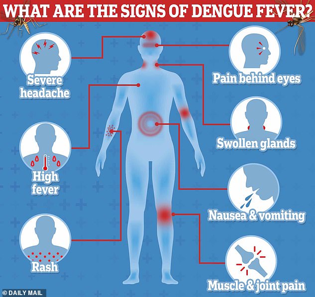 Climate Change Fuels Deadly Disease Outbreaks: Peru's Dengue Surge Linked to Extreme Weather