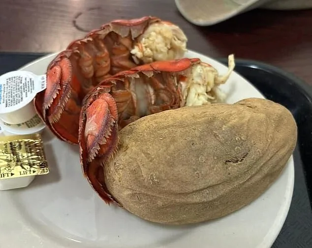 US Troops Launch Counteroffensive Against CNN Allegations of $20M Taxpayer Waste on Luxury Meals
