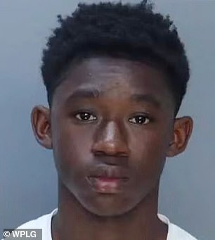 Redemption or Reckoning: 12-Year-Old's Plea Amid Grave Charges